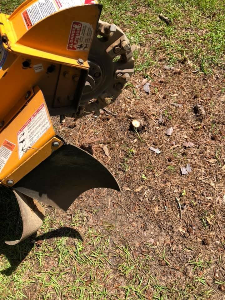 Yellow stump grinder on pine needle-covered ground, near a tree stump.