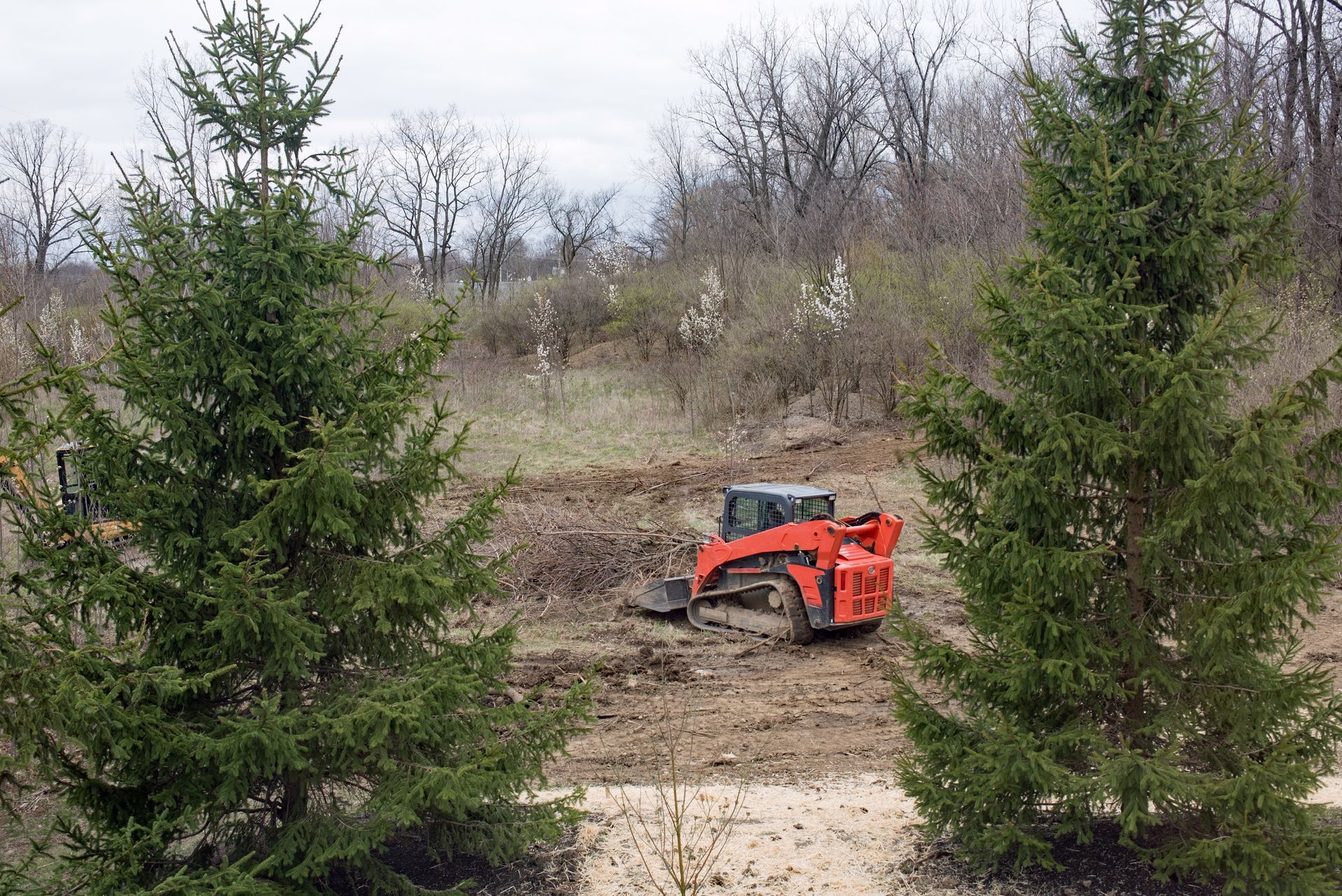 Arborist in a lift basket uses a chainsaw to cut a tree trunk in a forest.