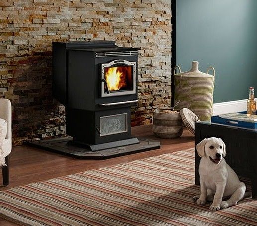 Black pellet stove with fire burning, puppy sitting in front. Black pellet stove with fire burning, puppy sitting in front.