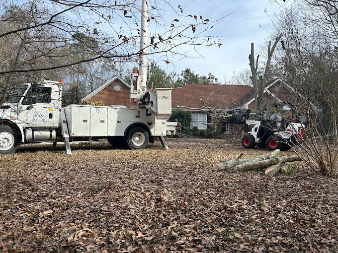 Brush Clearing in Athens, GA