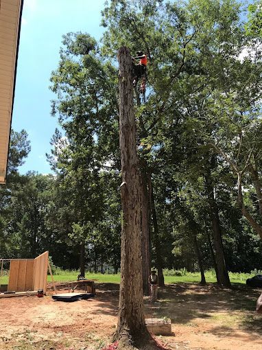 Tree Services in Athens, GA