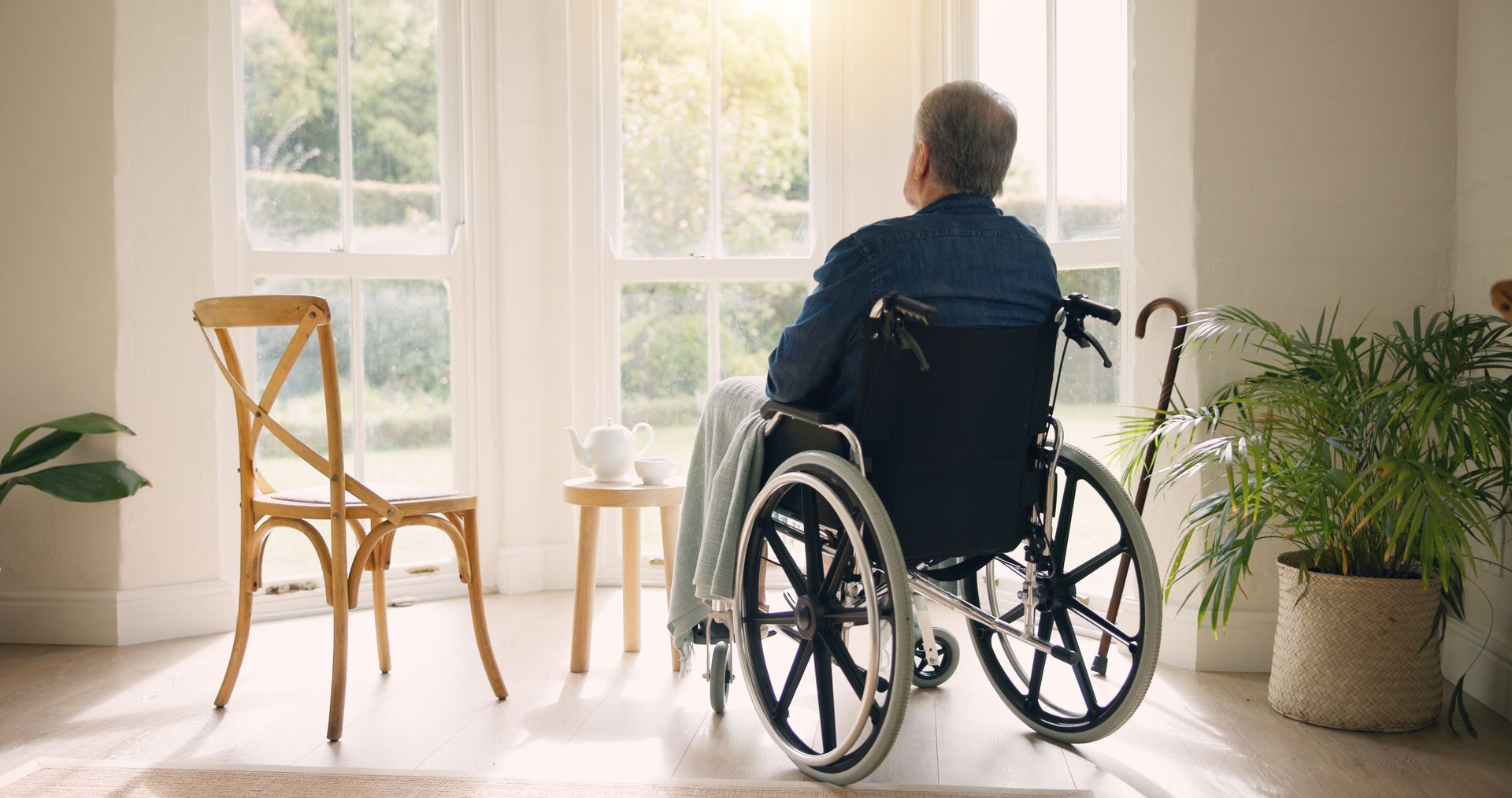 Person in a wheelchair by a sunlit window, facing a chair and potted plant in a bright room