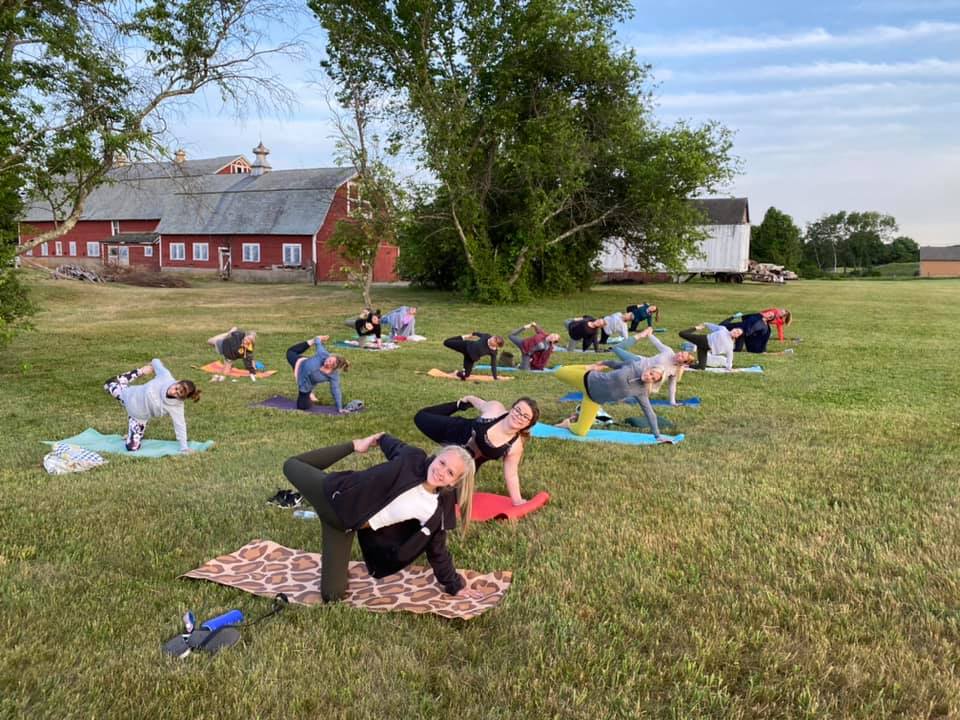 Sunflower Yoga Class Descriptions