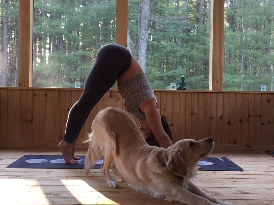 Contact Sunflower Yoga in Southwick, MA