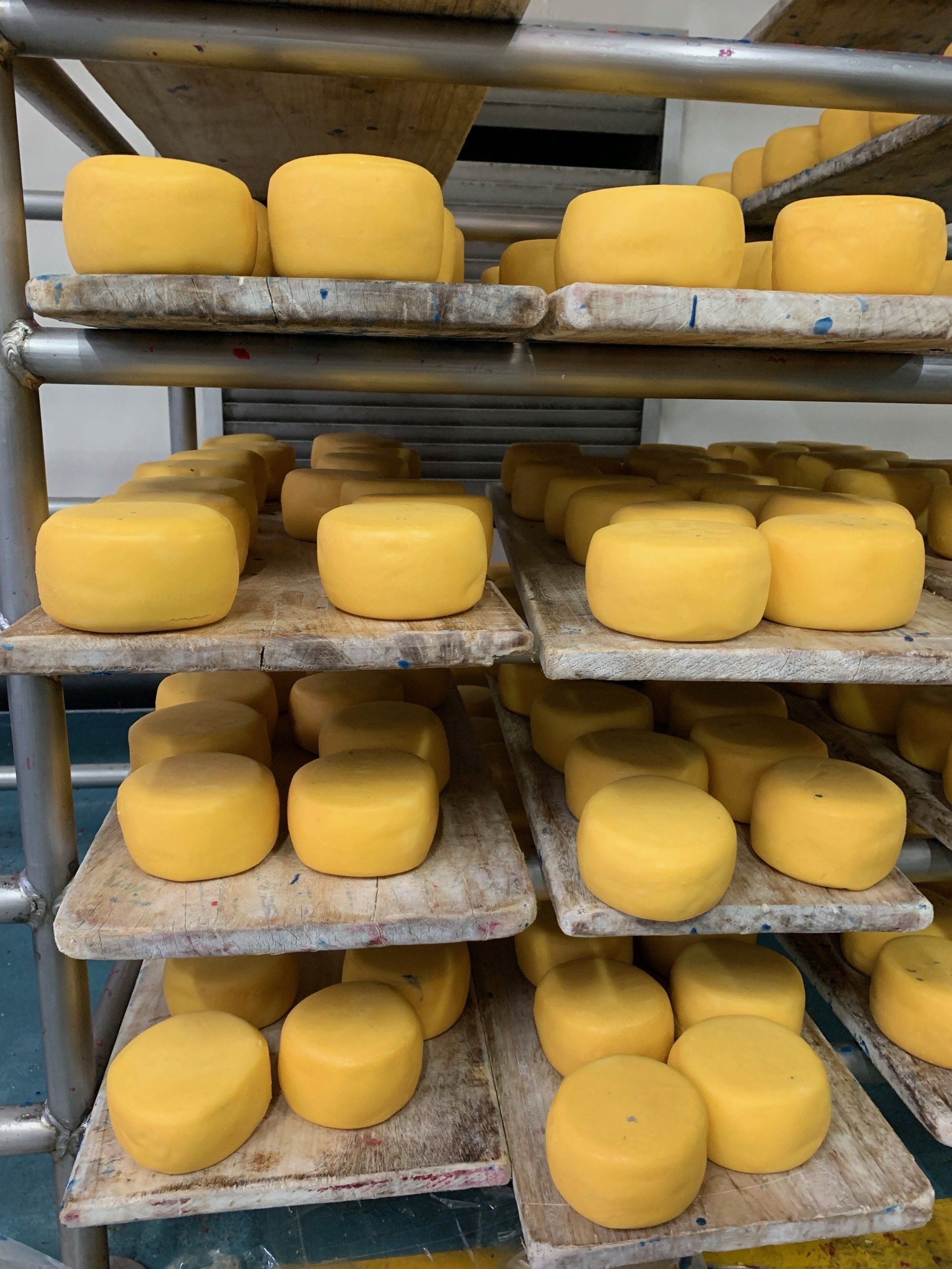 A bunch of yellow cheese sitting on a shelf