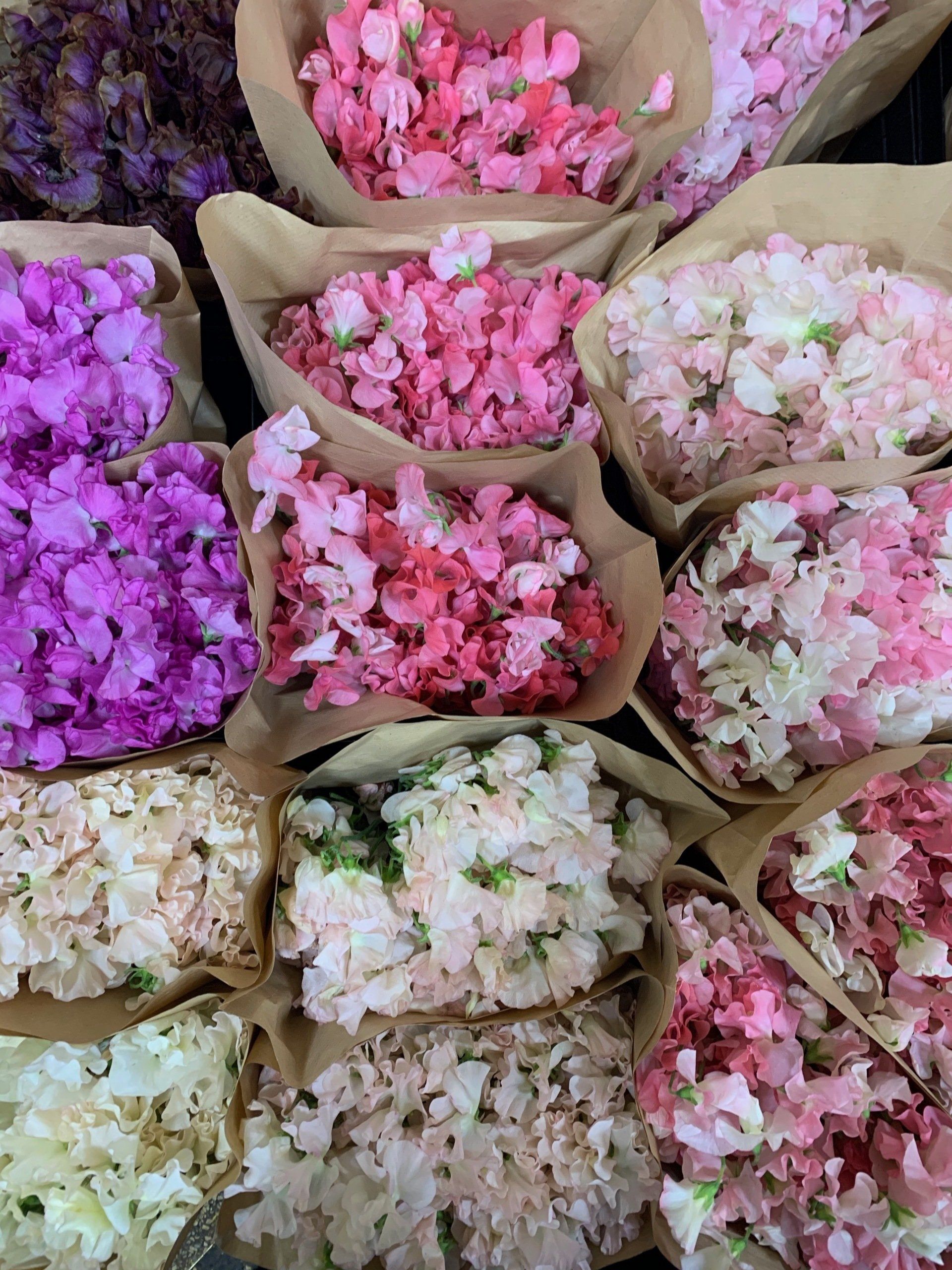 A bunch of bags filled with different colored flowers
