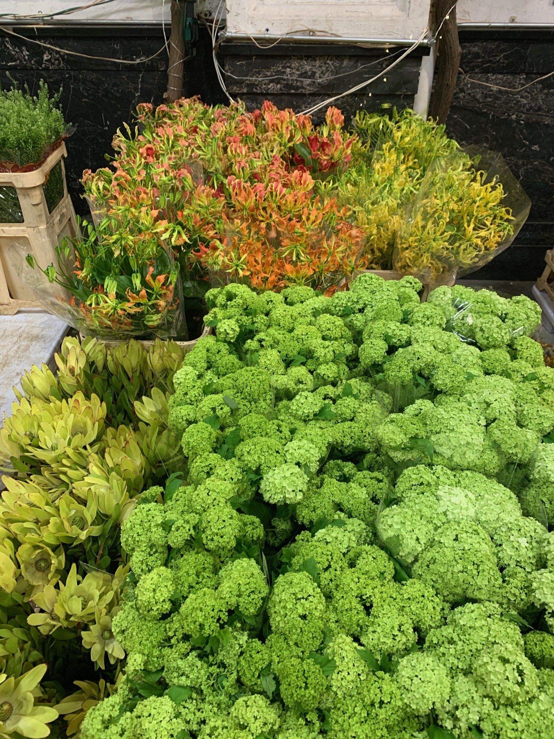 A bunch of green plants are sitting on top of each other on a table.