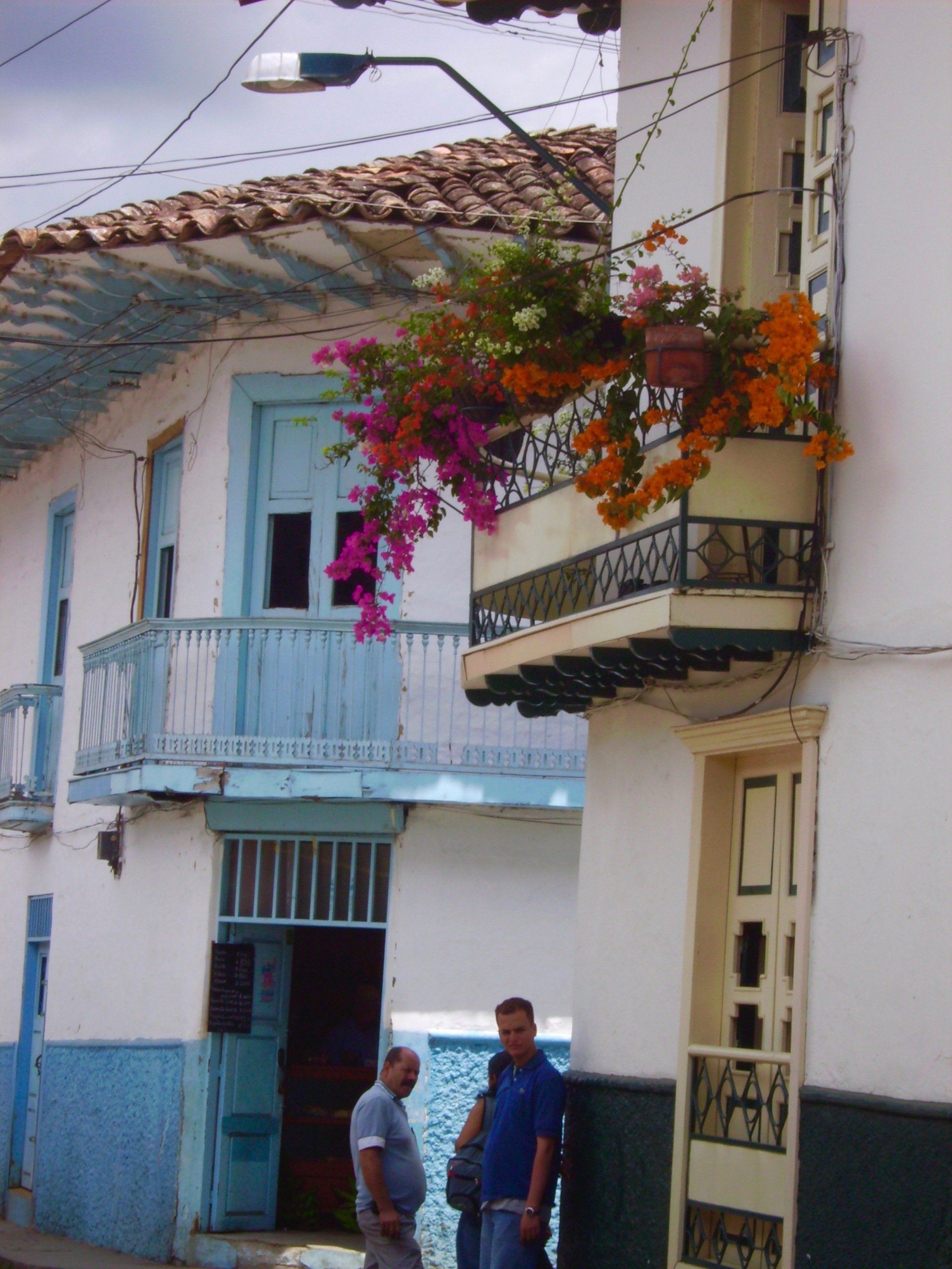 A balcony with purple and orange flowers on it