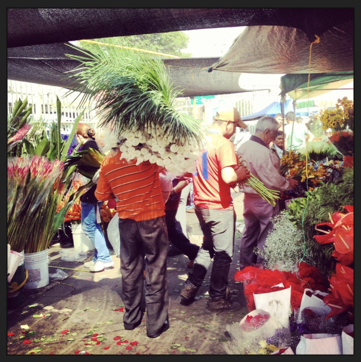 A man is carrying a large bunch of flowers on his back