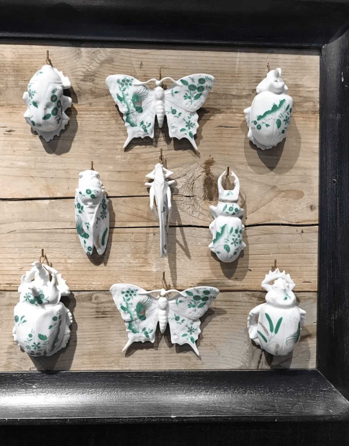 A framed display of white and green insects on a wooden surface