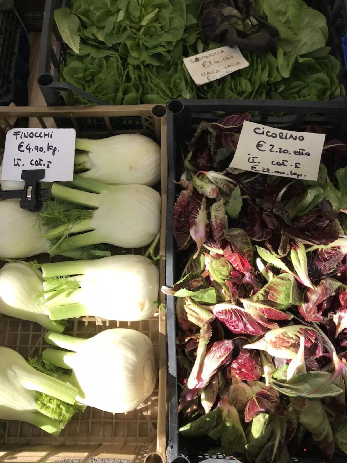 A bunch of different types of vegetables are sitting on a table.