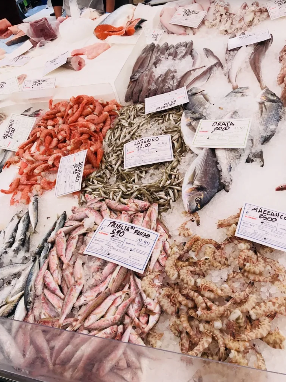 A variety of fish and shrimp are on display at a fish market.