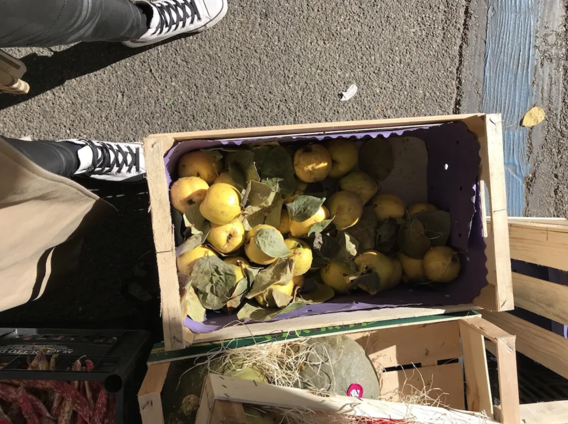 A person is standing next to a wooden box filled with lemons.