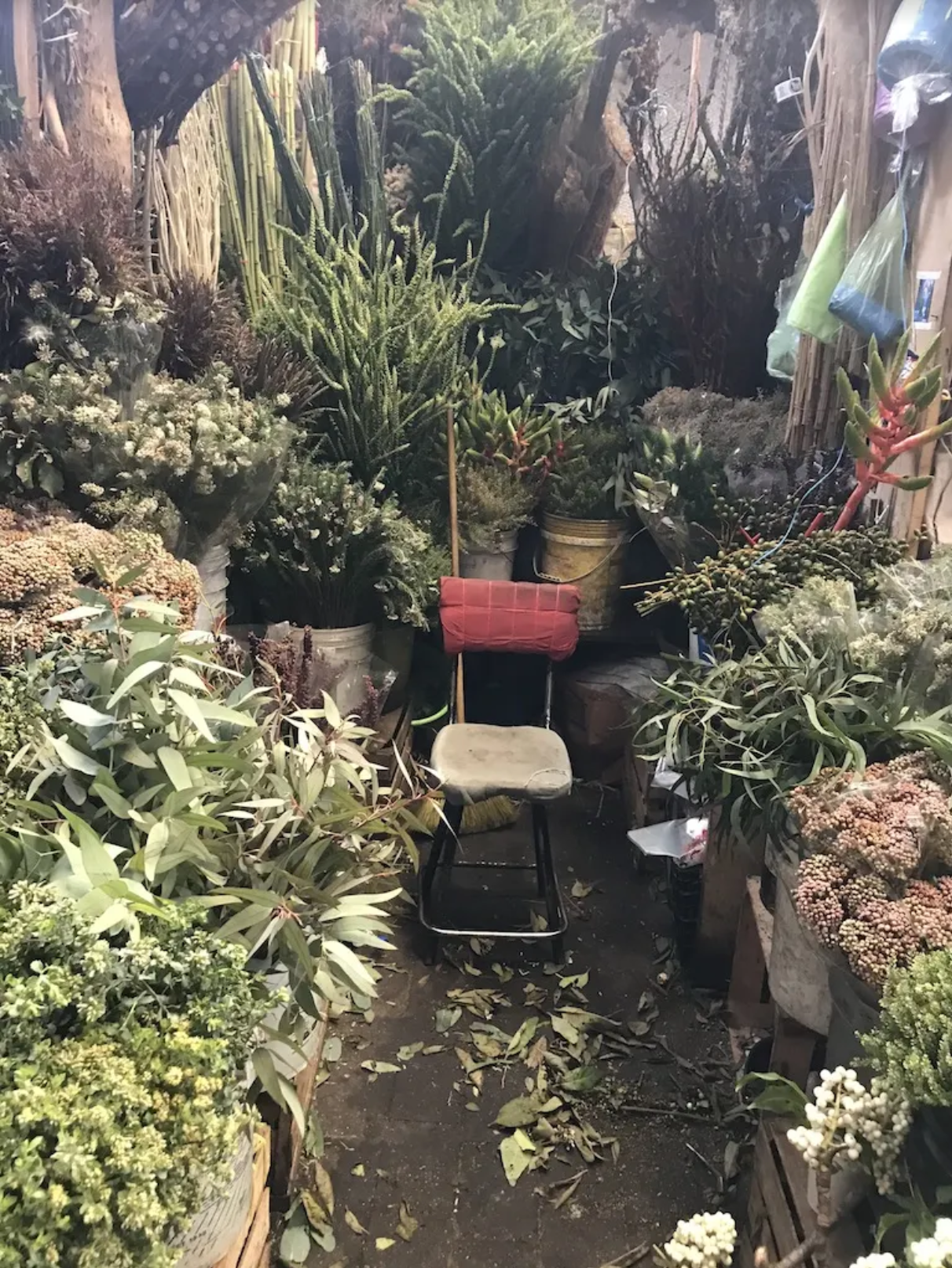 A chair is sitting in the middle of a garden surrounded by plants.