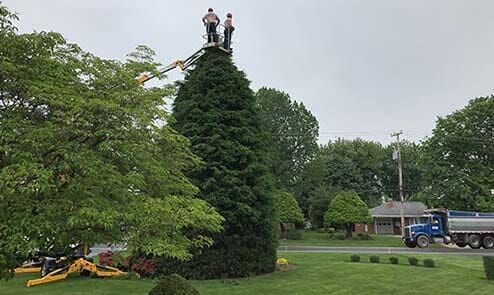 Men On A Crane Near Tree — Exton, PA — Longs Tree Service