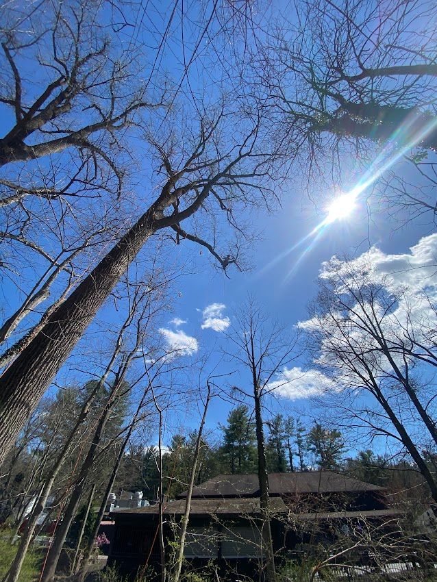 Picture Of Sun — Exton, PA — Longs Tree Service