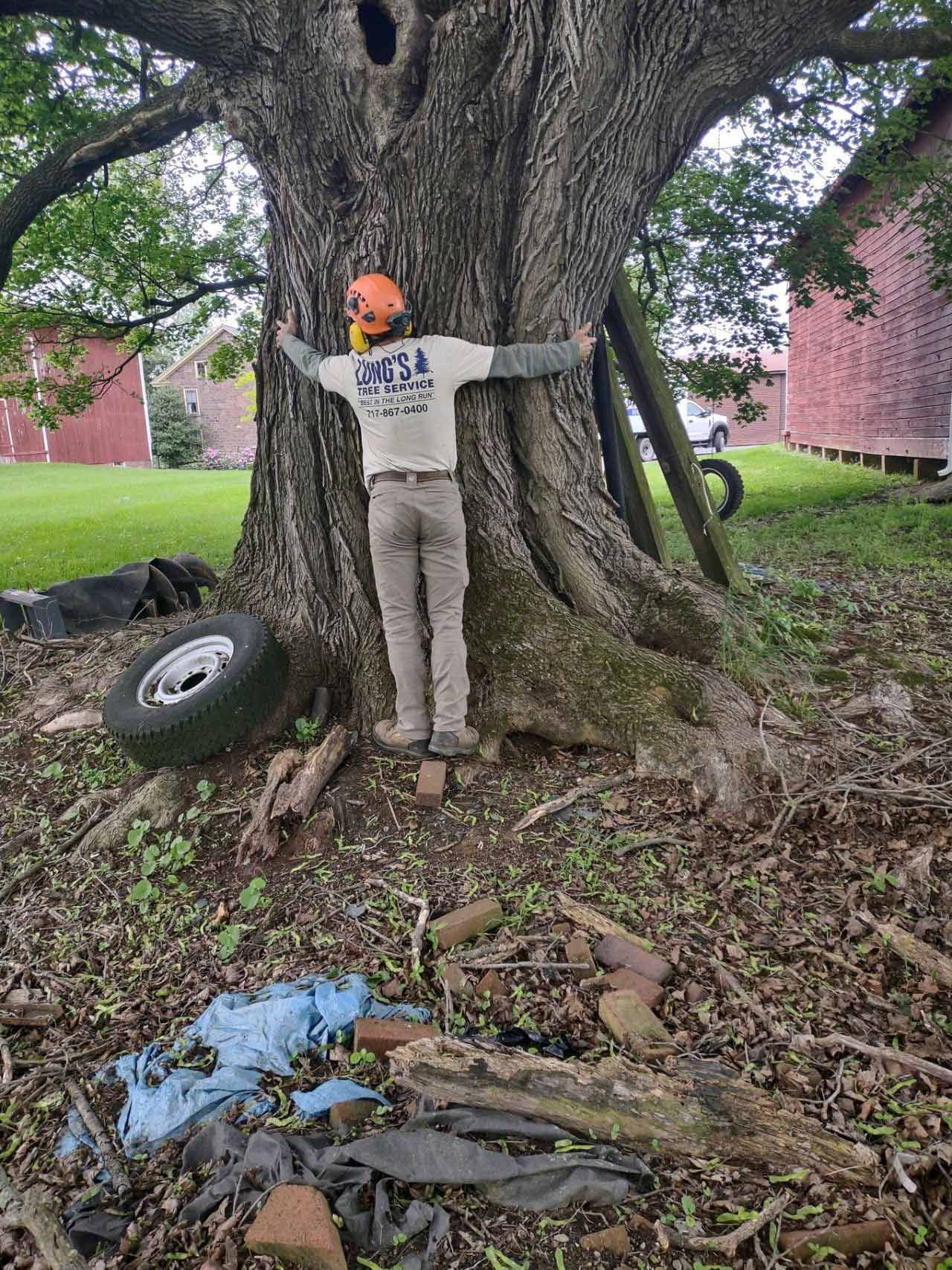 Man Hugging Tree — Exton, PA — Longs Tree Service