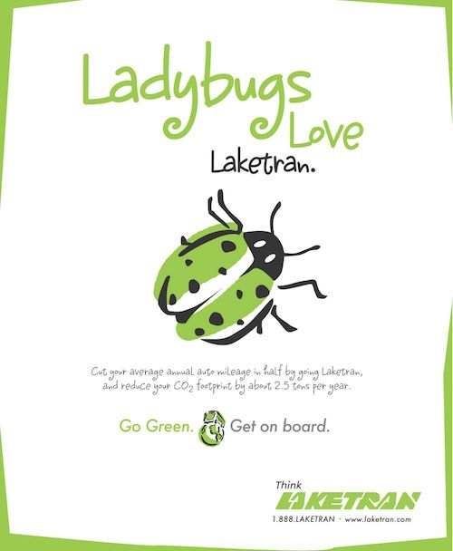 Ladybug-themed Laketran ad with green and black ladybug illustration and “Go Green. Get on board.”