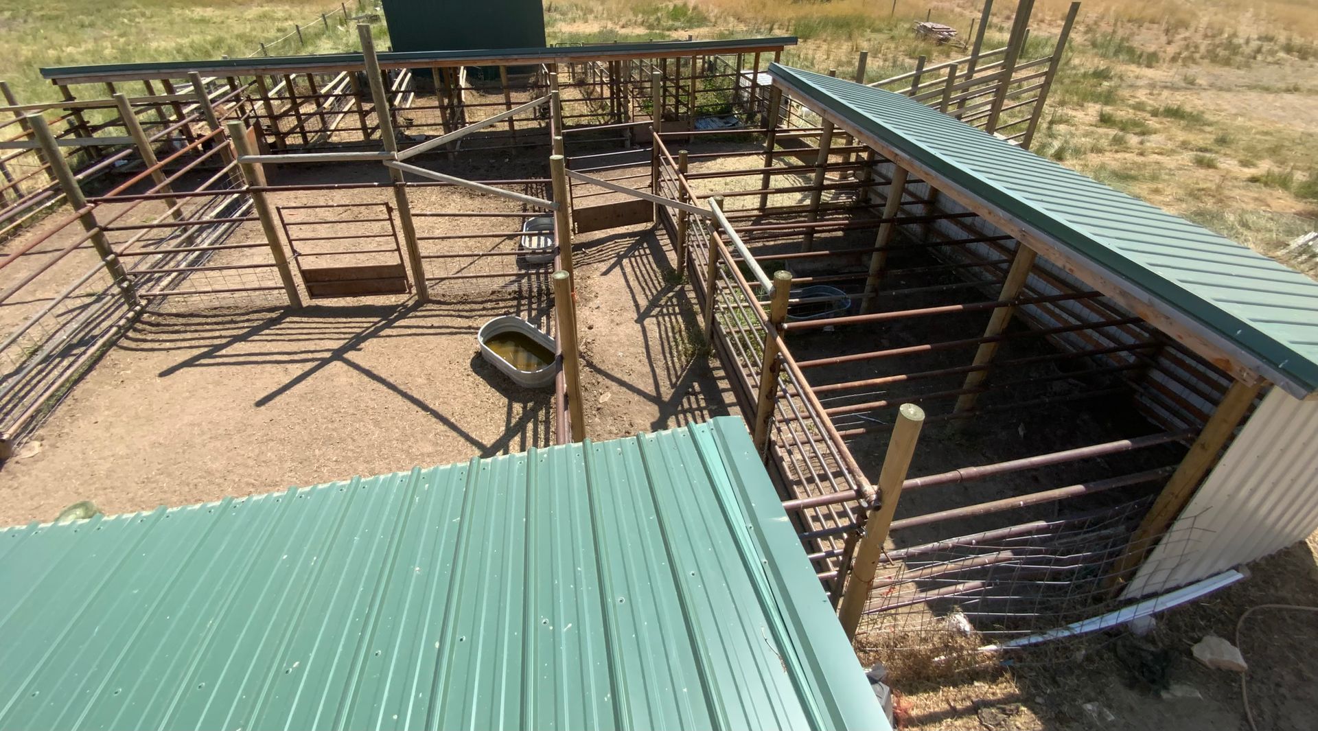 Our Slaughtering Services Helena, MT Montana City Meats