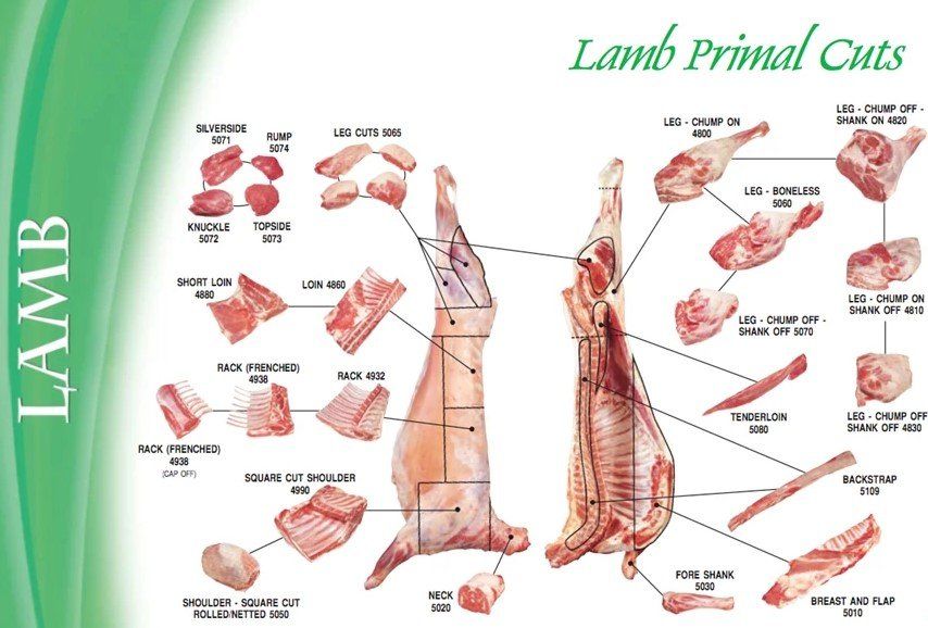 Lamb Primal Cuts — Helena, MO — Montana City Meats