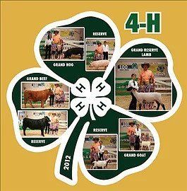 4-H