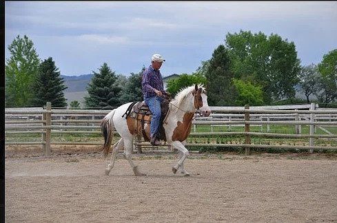 Man Riding Horses — Helena, MO — Montana City Meats