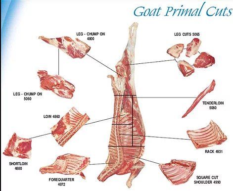 Pork Primal Cuts — Helena, MO — Montana City Meats