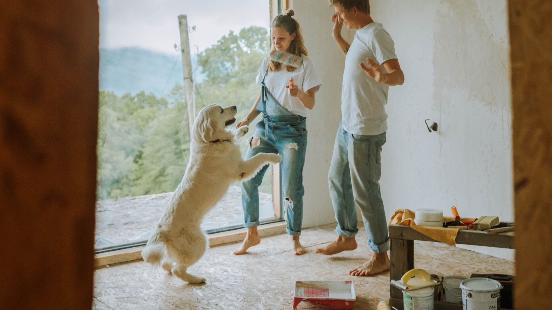 Dog with owners fixing the apartment