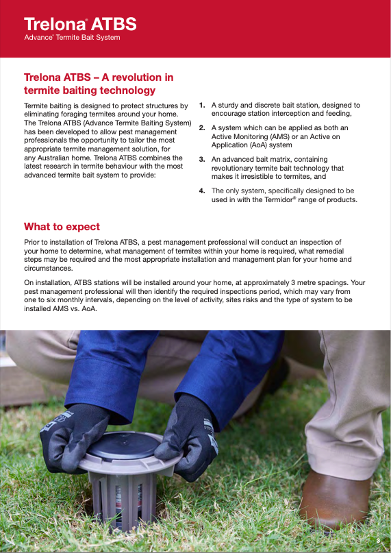 A Brochure Tells How to Avoid Termites — Allied Pest Management Northern Rivers in Tregeagle, NSW
