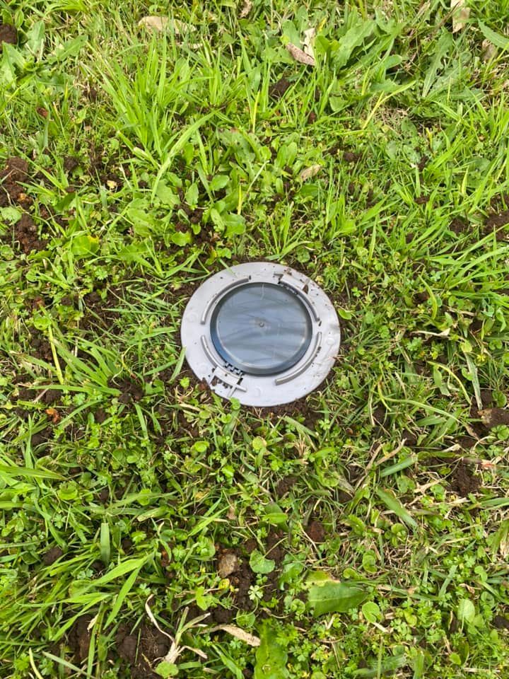 A termite bait placed on the grass — Allied Pest Management Northern Rivers in Tregeagle, NSW