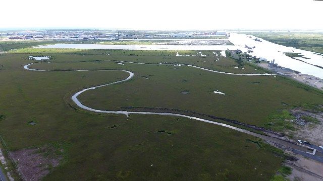 coastal wetlands park development