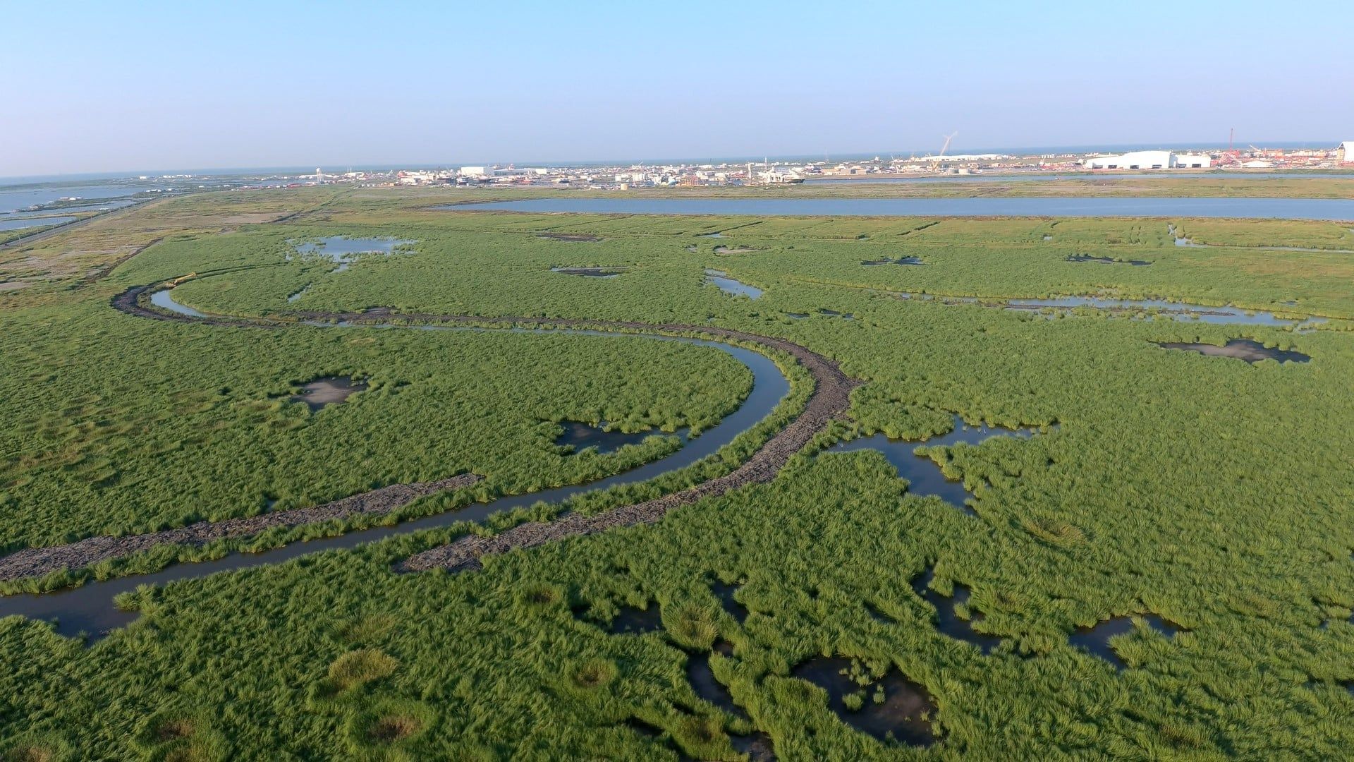 Coastal Environment at Port Fourchon