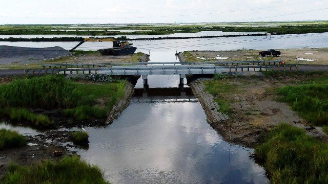 tidal creek bridge at wetlands park