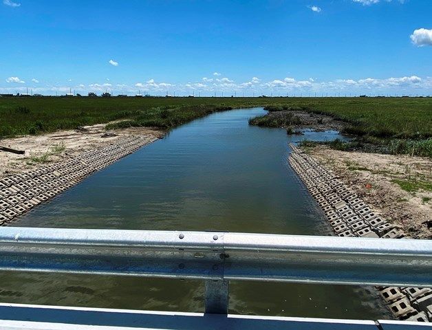 coastal wetlands park tidal bridge