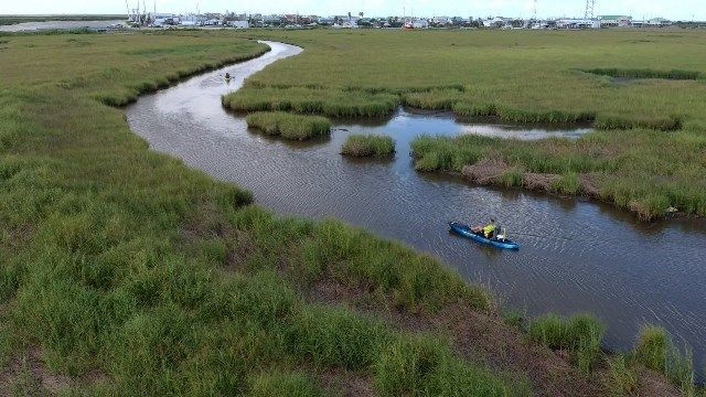 Kayaking in the coastal wetlands