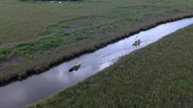 Recreational kayaking in Louisiana bayou
