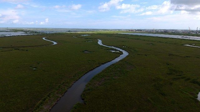 Greater Lafourche Wetlands