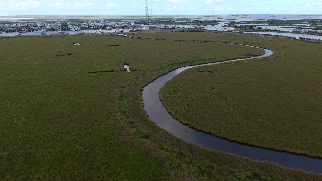 Greater Lafourche Wetlands Park