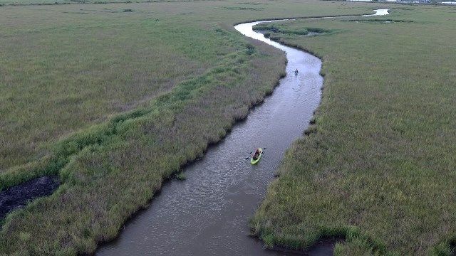 Coastal wetlands kayaking in Lafourche Parish