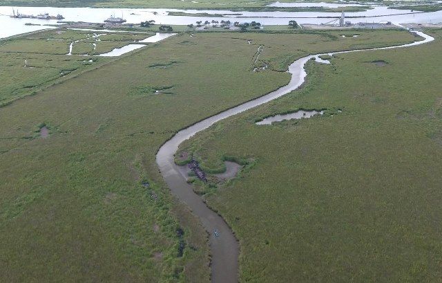 Kayaking through marsh grasses near Port Fourchon