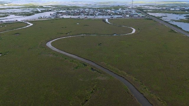 Scenic kayak tour in Lafourche wetlands