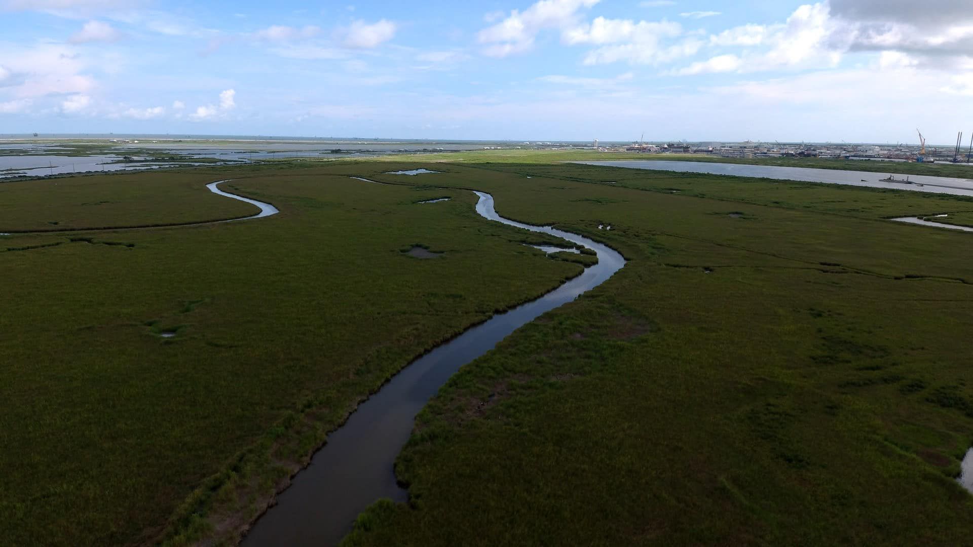 Wetlands preservation at Port Fourchon