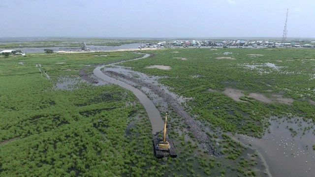 development of coastal wetlands park