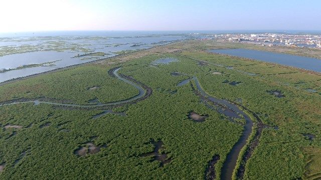 coastal wetlands park development