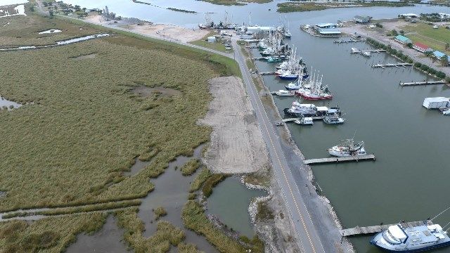 coast wetlands park development