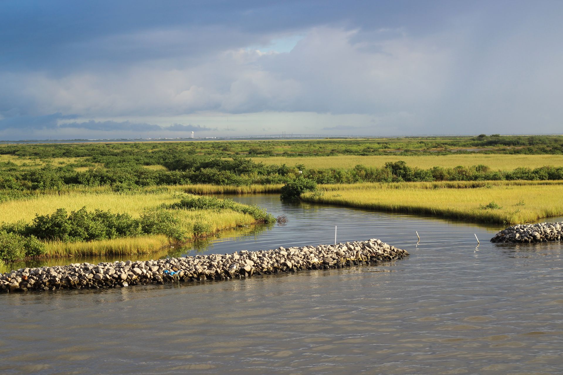 Port Fourchon coastal wetlands