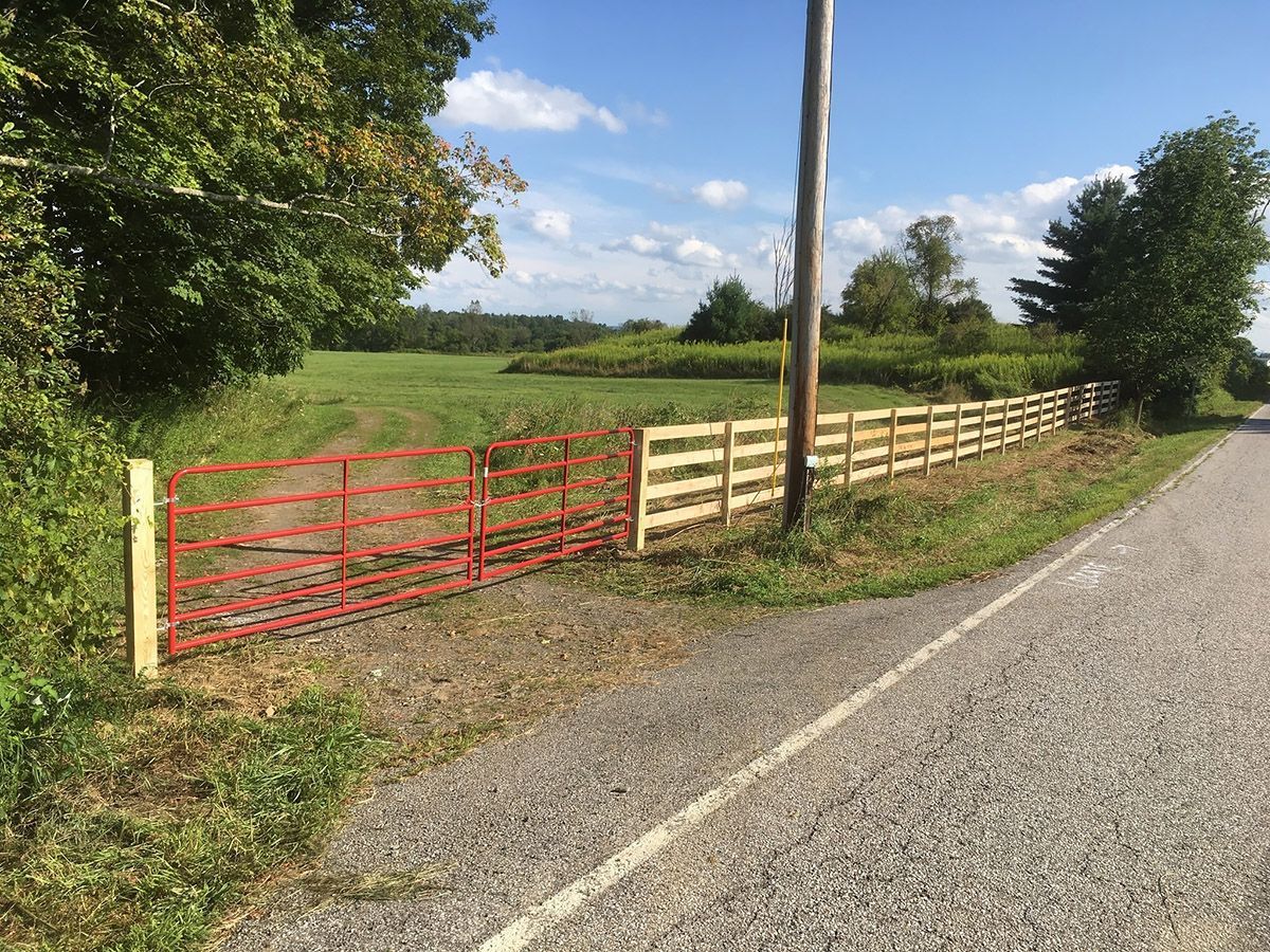 Red metal gate and wooden fence bordering a field, next to a road, under a blue sky.