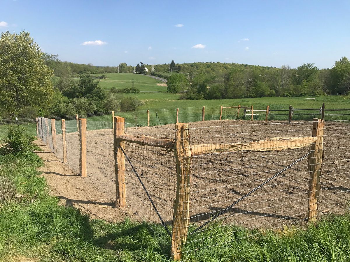 Newly tilled garden plot enclosed by a wooden and wire fence, surrounded by green grass and trees.