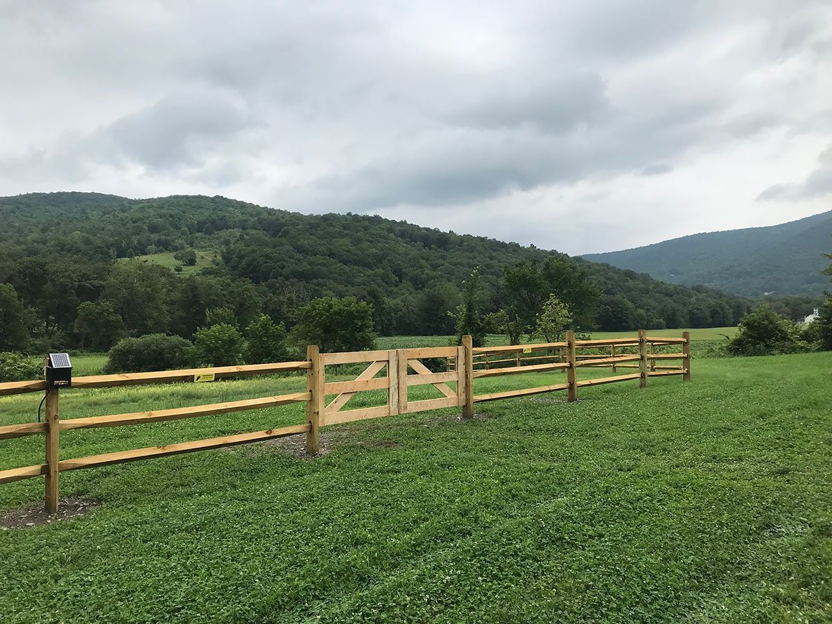 Wooden fence with gate in grassy field, green mountains in background, overcast sky.
