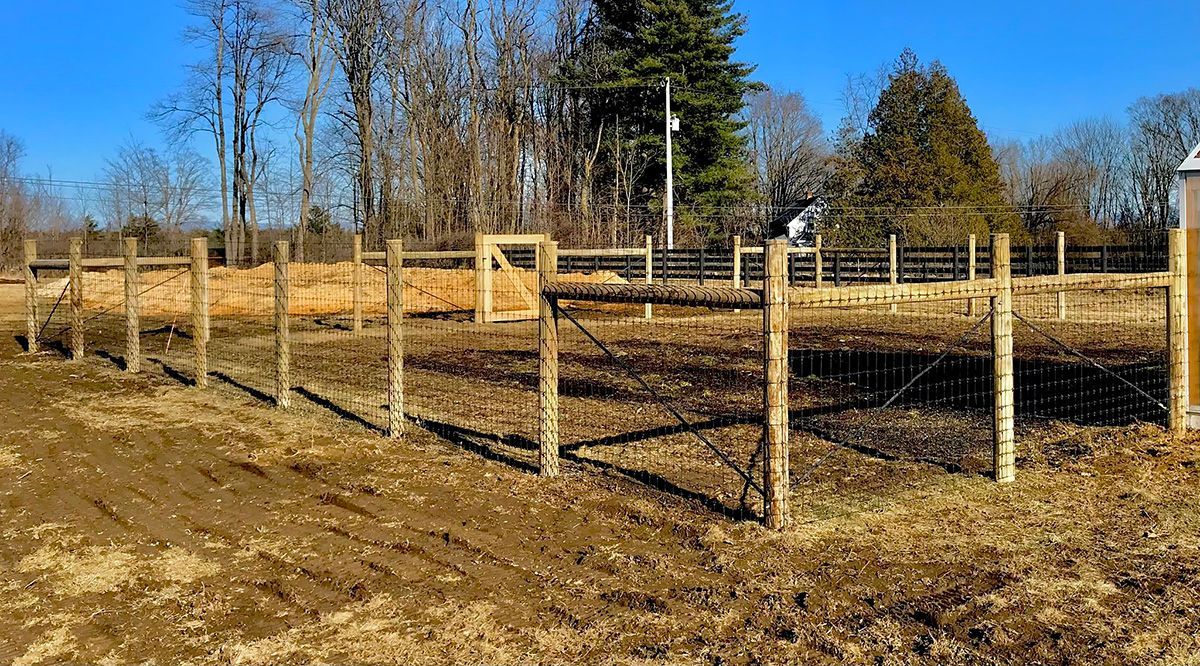 Fence posts and wire surrounding a cleared field, trees in the background, blue sky.